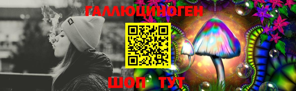 Галлюциногенные грибы Cubensis Бутурлиновка